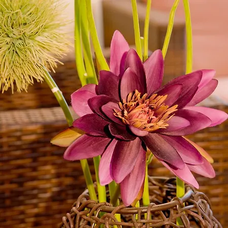 Achat Zuffenhausen מלון 3*