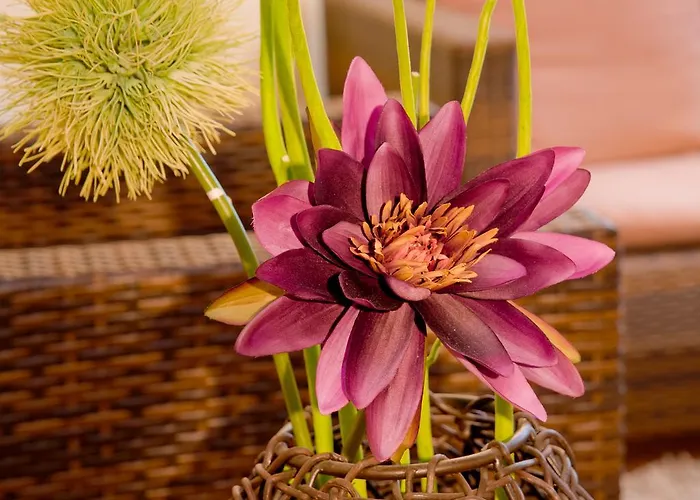 Achat Zuffenhausen Szálloda 3*